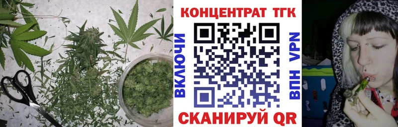 Купить где  Чердынь  ТГК жижа 