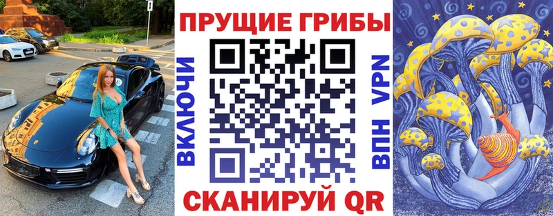 Купить где  Чердынь  Псилоцибиновые грибы мухоморы 